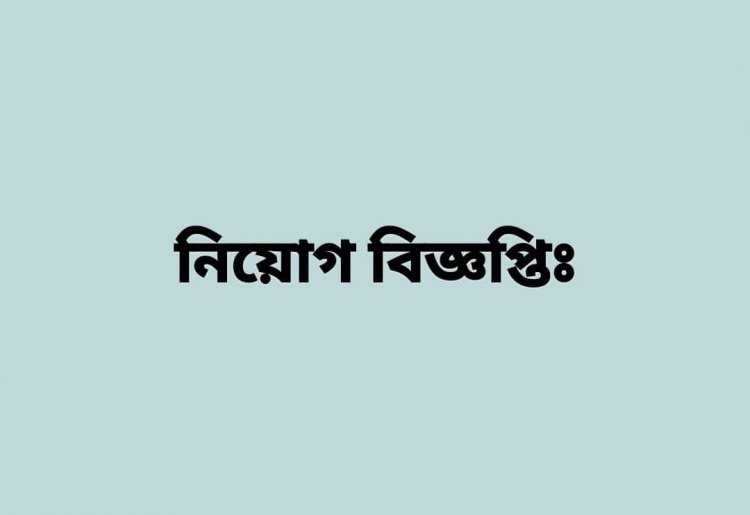 Assistant Project Engineer (Civil)